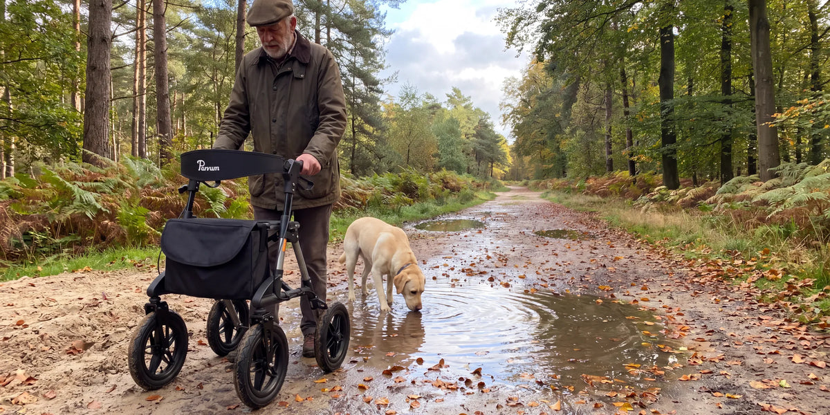 Parvum Rebel in gray on a wet forest path; a man watches his Labrador drink from a puddle.